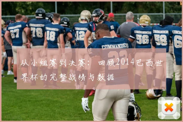 从小组赛到决赛：回顾2014巴西世界杯的完整战绩与数据
