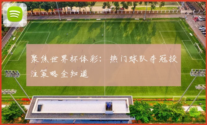 聚焦世界杯体彩：热门球队夺冠投注策略全知道