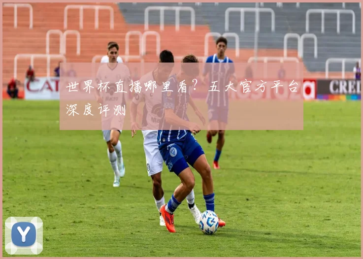 世界杯直播哪里看？五大官方平台深度评测