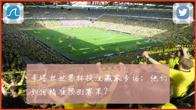 卡塔尔世界杯投注赢家专访：他们如何精准预测赛果？