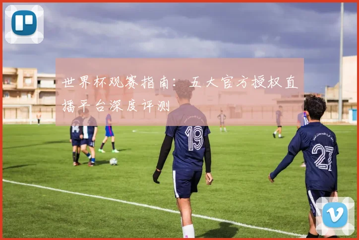 世界杯观赛指南：五大官方授权直播平台深度评测