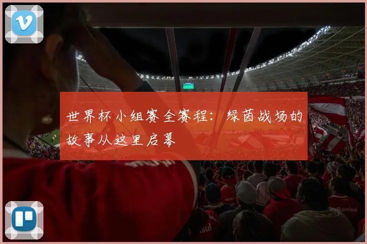 世界杯小组赛全赛程：绿茵战场的故事从这里启幕