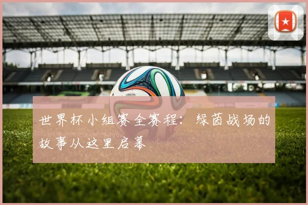 世界杯小组赛全赛程:绿茵战场的故事从这里启幕